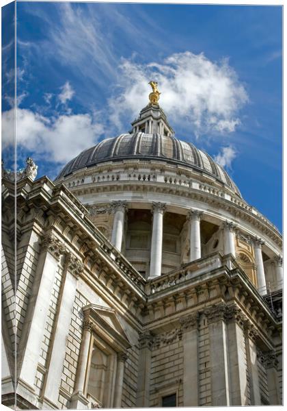St Paul's cathedral Canvas Print by tim miller