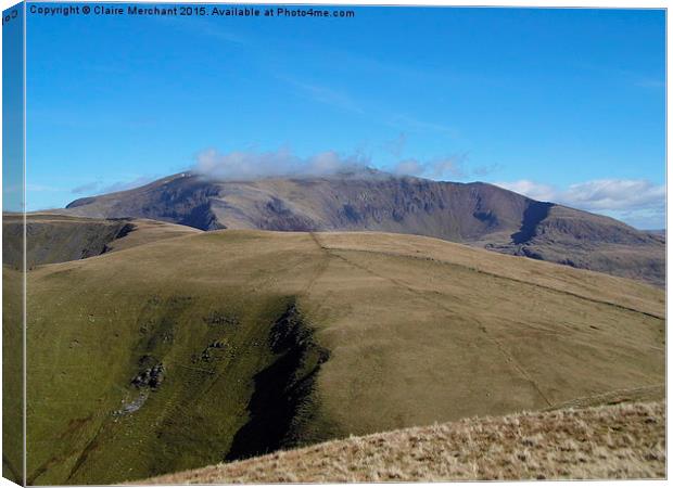  Yr Wyddfa & Moel Cynghorion Canvas Print by Claire Merchant