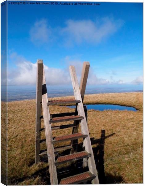  Stile Canvas Print by Claire Merchant