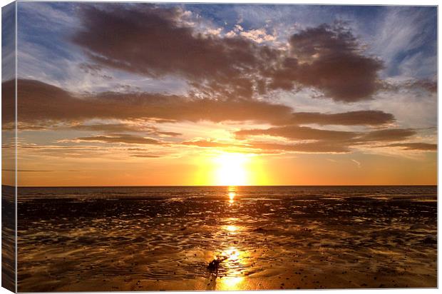   Golden glory sunset Canvas Print by Naylor's Photography