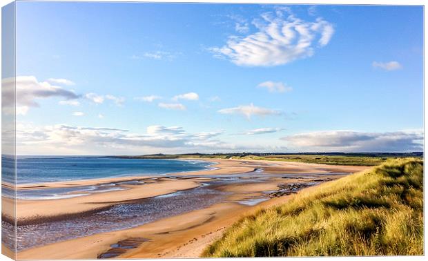  Beadnell Bay Seascape Canvas Print by Naylor's Photography