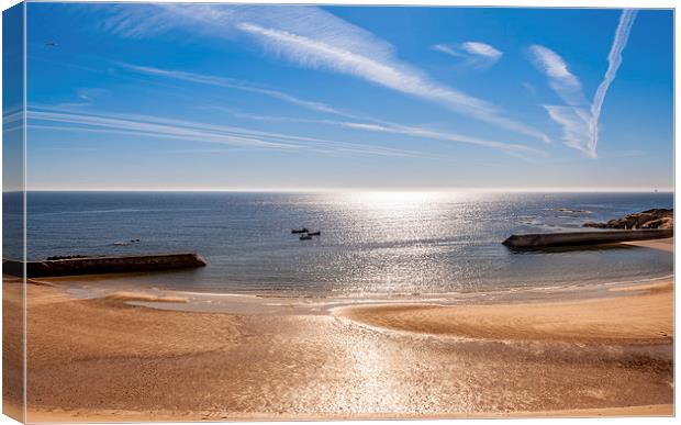 Cullercoats Bay  Canvas Print by Naylor's Photography