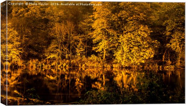 The river wear reflections by night Canvas Print by Naylor's Photography