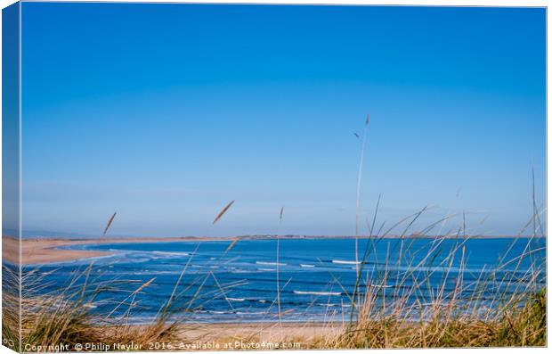 Dunes to the Bay.......... Canvas Print by Naylor's Photography