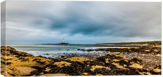 Storm Chaser............ Canvas Print by Naylor's Photography