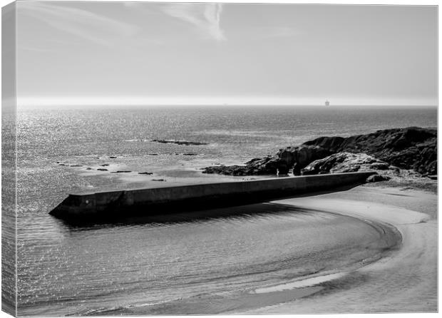 Calm at Cullercoats Bay in Mono......... Canvas Print by Naylor's Photography