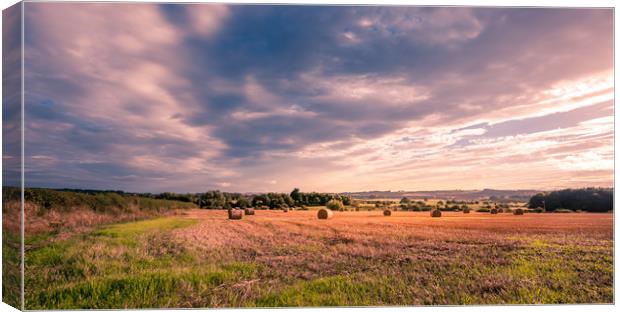 The Beauty of Farming Canvas Print by Naylor's Photography