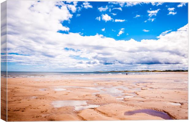 Beadnell beach beauty Canvas Print by Naylor's Photography
