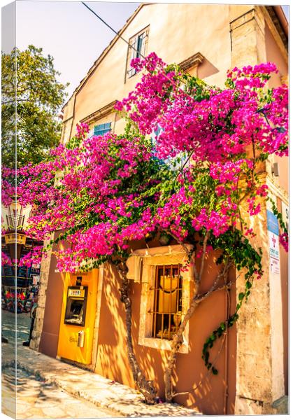 Prettiest cash machine in town Canvas Print by Naylor's Photography