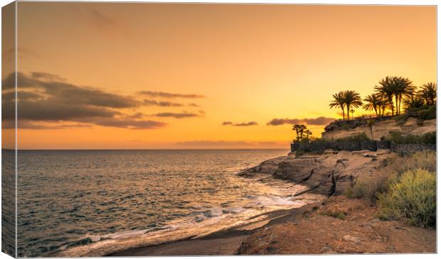 Sun setting over the sea and palm trees  Canvas Print by Naylor's Photography
