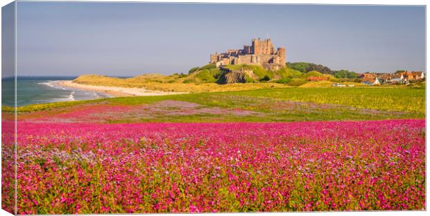 Red Campion and Mighty Castle Canvas Print by Naylor's Photography