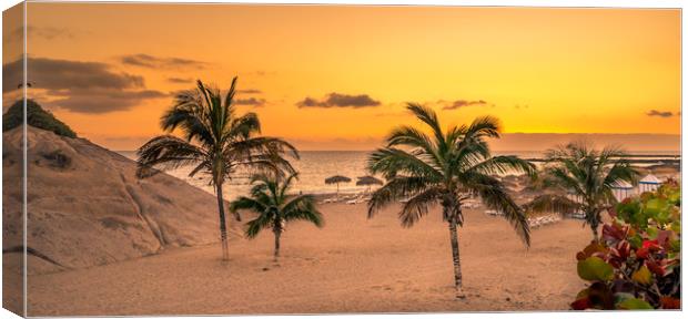 Palm Trees in the Sun Canvas Print by Naylor's Photography
