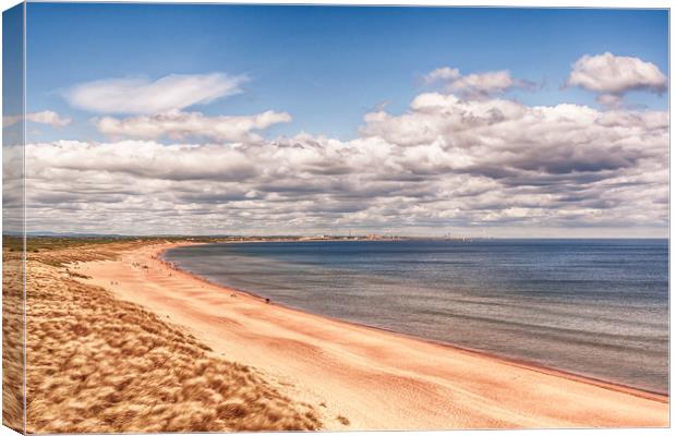 Sunny Day at Seaton Sluice Beach Canvas Print by Naylor's Photography