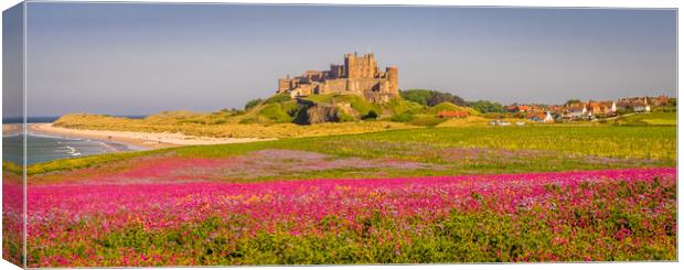 The Castle and Campion Canvas Print by Naylor's Photography