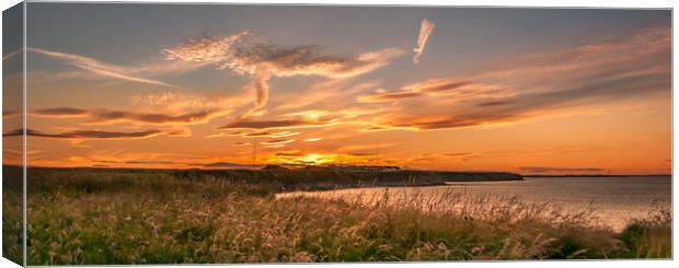 Our Beautiful Coast Canvas Print by Naylor's Photography