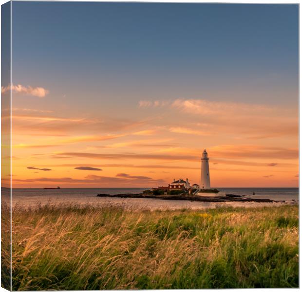 Welcoming the Warmth to our Shores Canvas Print by Naylor's Photography