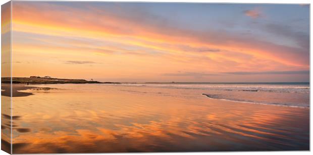 Red Reflections Canvas Print by Naylor's Photography