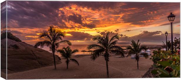 Palm Trees and Sunset Canvas Print by Naylor's Photography