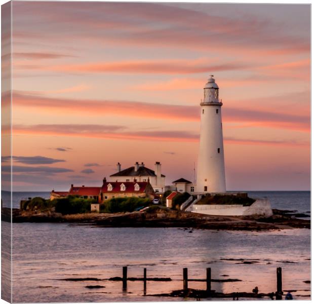 Evening twilight St Mary's Lighthouse Canvas Print by Naylor's Photography