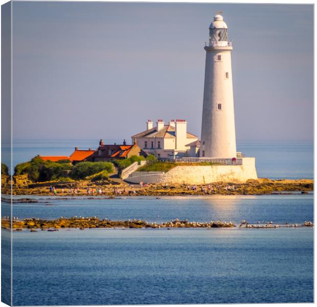 Stunning St Mary's Lighthouse Canvas Print by Naylor's Photography