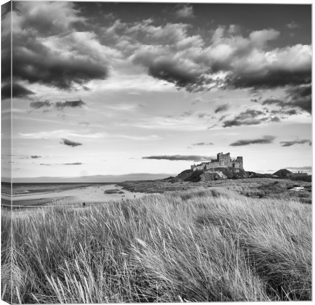 Mighty and Proud in Mono Canvas Print by Naylor's Photography