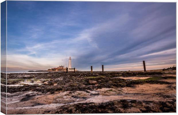 St Mary's Lighthouse from the beach Canvas Print by Naylor's Photography