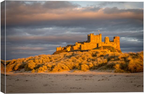 The coolest Castle in the country Canvas Print by Naylor's Photography