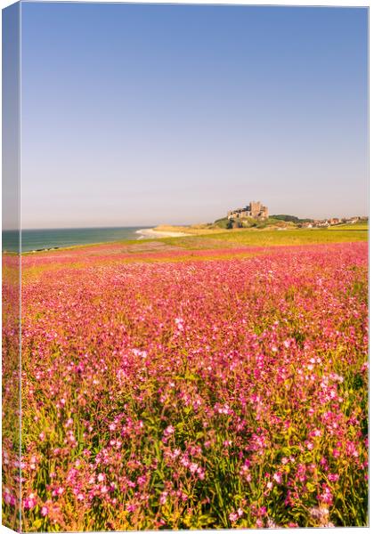 Portrait of the Castle and Campion Canvas Print by Naylor's Photography