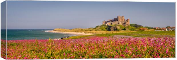 Panorama of Bamburgh Castle from the campion field Canvas Print by Naylor's Photography