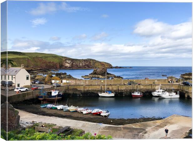 Beautiful day at St Abbs Canvas Print by Naylor's Photography
