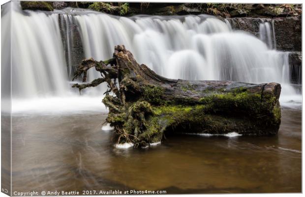 Scaleber Force Tree Stump Canvas Print by Andy Beattie