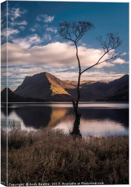 Lone Tree, Buttermere Canvas Print by Andy Beattie