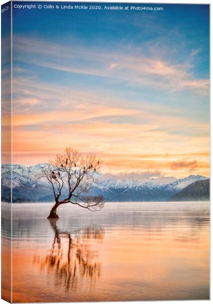 Lake Wanaka Otago New Zealand Canvas Print by Colin & Linda McKie
