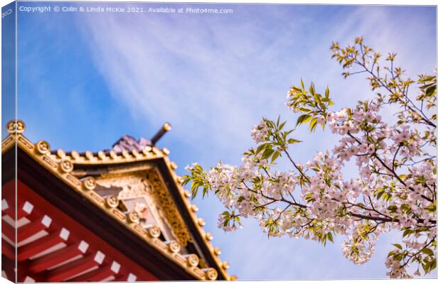 Cherry Blossom and Ornamental Gate, Shiba Park, Tokyo Canvas Print by Colin & Linda McKie