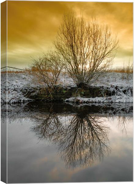 RC0004S - The First Sprinkling - Standard Canvas Print by Robin Cunningham