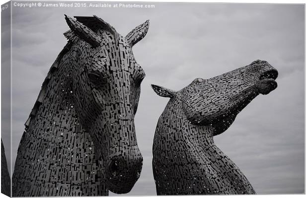The Kelpies  Canvas Print by James Wood