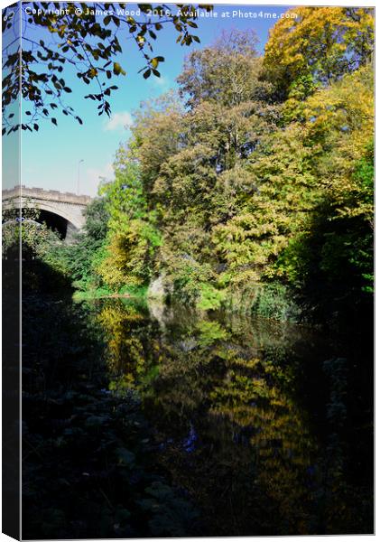 Water of Leith and Belford Rd. Bridge Canvas Print by James Wood