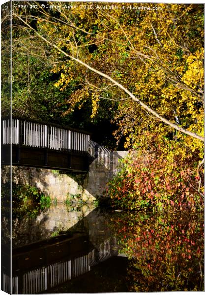 Water of Leith footbridge Canvas Print by James Wood