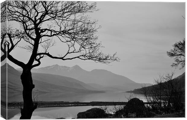  Loch Etive, Glencoe, Highlands, Scotland Canvas Print by Ann McGrath