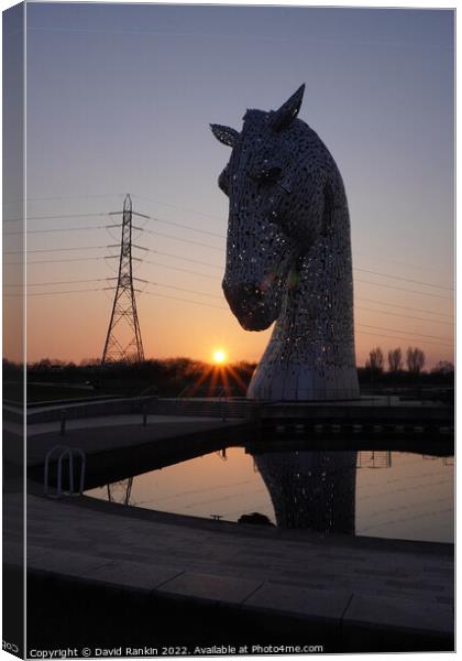 the Kelpies at sunset , the Helix , Falkirk Scotland Canvas Print by Photogold Prints
