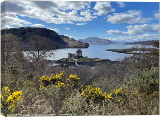 Eilean Donan Castle , the Highlands of Scotland  Canvas Print by Photogold Prints
