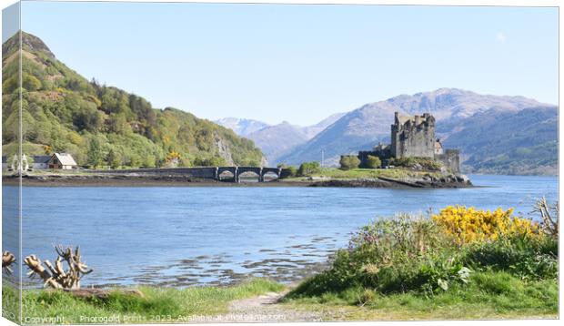 Eilean Donan Castle in the Highlands , Scotland Canvas Print by Photogold Prints