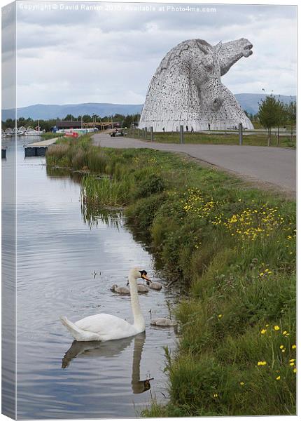  the Kelpies in Helix Park , Scotland   Canvas Print by Photogold Prints