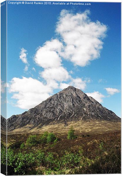 Buachaille Etive Mor in the Scottish Highlands Canvas Print by Photogold Prints