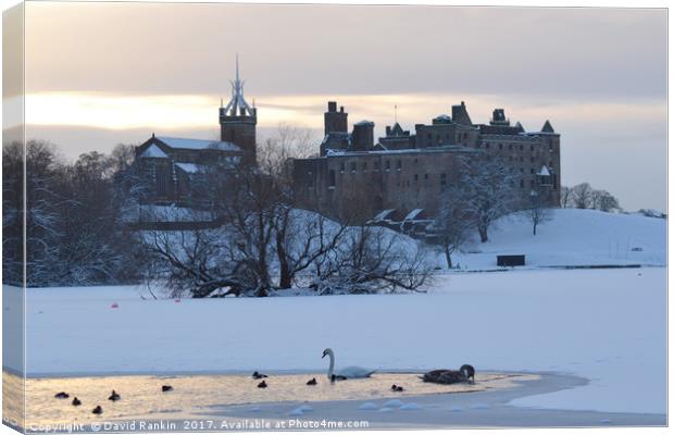 Snowy Linlithgow Palace in winter Canvas Print by Photogold Prints