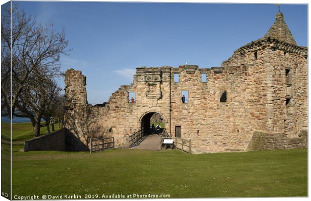 St Andrews castle ,  St Andrews , Fife Canvas Print by Photogold Prints