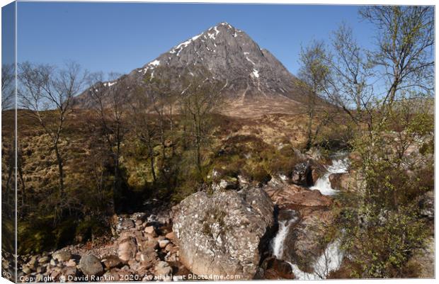 Buachaille Etive Mor , the Highlands , Scotland Canvas Print by Photogold Prints