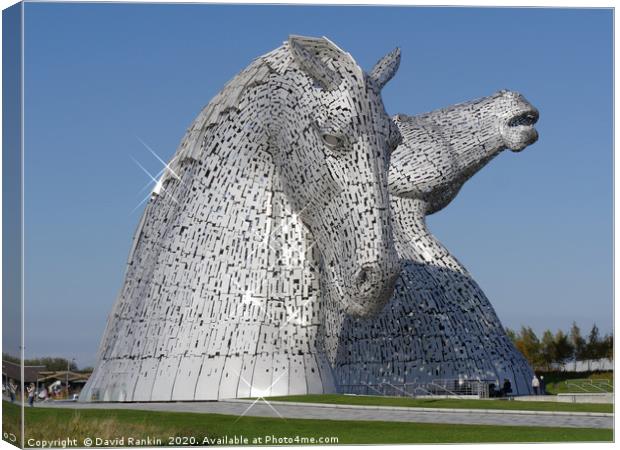 the Kelpies, Helix Park , Falkirk , Scotland  Canvas Print by Photogold Prints