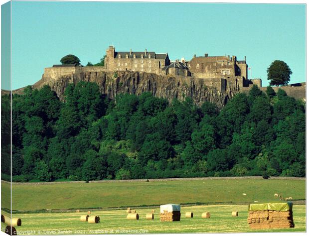 Stirling Castle , Stirling, Scotland Canvas Print by Photogold Prints