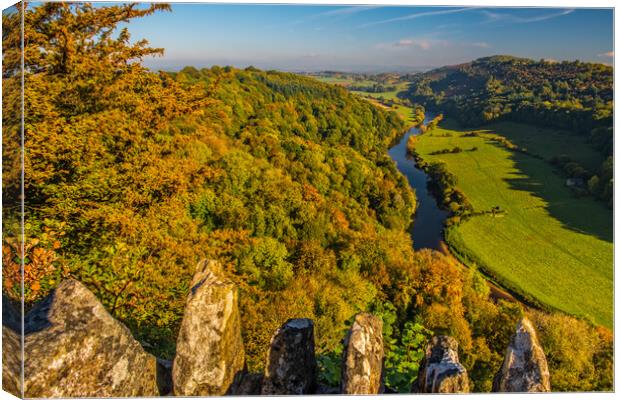 Symonds Yat Rock and the River Wye in Autumn Canvas Print by David Ross